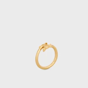 Celine Triomphe Asymmetric Gold